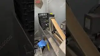 Fully Automatic Industrial Cucumber Washing Production Line