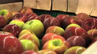 Fall In North Georgia Means It&rsquo;s Apple Time