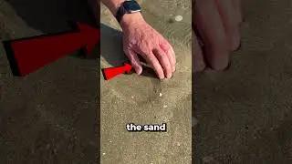#биэль