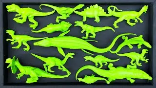 🔴Clean Up Muddy Dinosaur Animals: Mozasaurus, T-rex, Dilophosaurus, Alosaurus, Triceratops, Baryonix