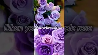 season-02,,,purple queen 💜💜💜#shorts#heartattack#subscribe#beauty#purple#queen#trending#beautytips