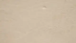Tt