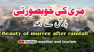 how to visit murree in rainfall | beauty of murree in rainy days | how to enjoy murree | #murree
