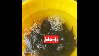What over stocking does in catfish farming