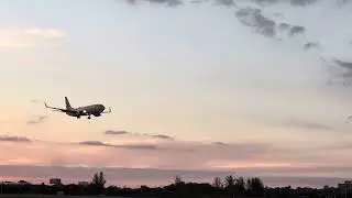 American Airlines landing |
