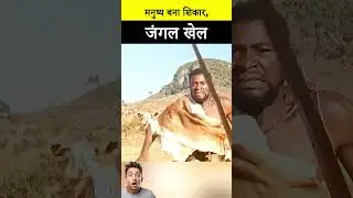#jaidmeel #hindi A Survival Story of Instinct and Intelligence