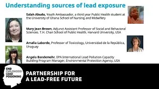 Lead-Free Future for Every Child Webinar Series: Understanding sources of lead exposure