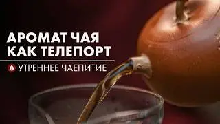 Как аромат влияет на восприятие? | Стрим Art of Tea