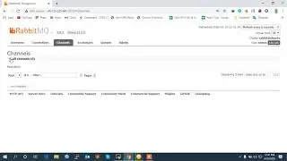 I Will Do RabbitMQ Setup Linux