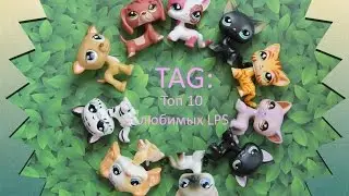 LPS: TAG : Топ 10 любимых LPS