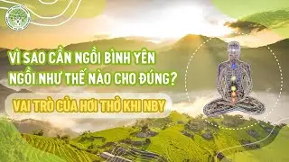 KTBT | Vì sao cần Ngồi Bình Yên & Ngồi Như Thế Nào cho Đúng? Vai Trò của Hơi Thở khi Ngồi Bình Yên