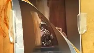Kitchen artist