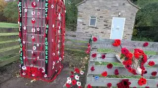 Hackness poppies