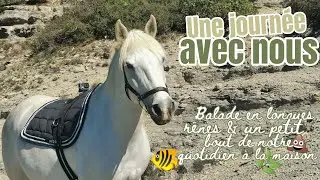 JOURNÉE AVEC NOUS — BALADE EN LONGUES RÊNES & PETIT BOUT DE NOTRE QUOTIDIEN À LA MAISON 🐠💩🌿🐔