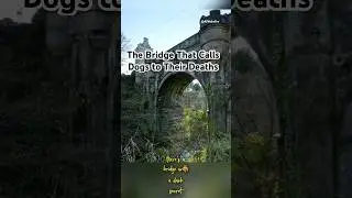 When AI Explains Mysteries | Episode51: The Overtoun Bridge Mystery-That Calls Dogs to Their Death