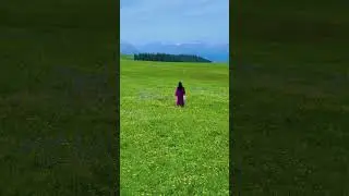 Sunlit Beauty Across Endless Fields