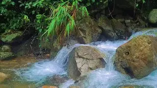 Moonlit River Serenity – Gentle Water Sounds to Help You Relax and Sleep Deeply