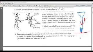 2019 Western Province I 2nd Term Test I Structured Essay Discussion