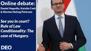 Online debate: See you in court? Rule of Law Conditionality: The case of Hungary.