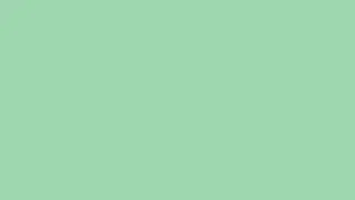 Very light bluish-green color #A0D6B4 HD Очень светлый синевато-зеленый цвет