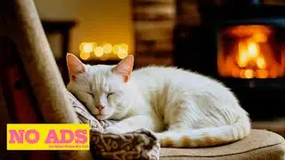 ASMR Cat Purring & Cozy Fire 🔥🐾 | Deep Relaxation & Sleep Aid for Pets