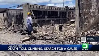 Maui Wildfire Latest: Updates and how to help | August 14, 2023 at 6 p.m.
