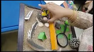 Montessori Nature Tables