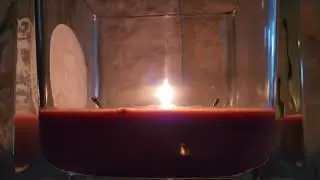 Sugar & Wildleder von Circle E Candles