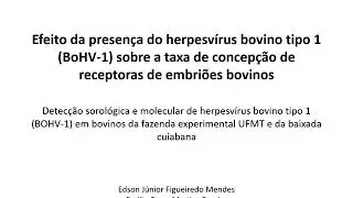 Apresenta&ccedil;&atilde;o PIBIC - Edson Jr/ Detec&ccedil;&atilde;o sorol&oacute;gica e molecular do herpesv&iacute;rus bovino tipo-1 (BoHV-1)