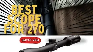 6 Best Rifle Scopes for 270