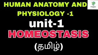 HOMEOSTASIS | BASIC LIFE PROCESSES| POSITIVE AND NEGATIVE FEEDBACK MECHANISM| HAP-1|B.PHARMACY|TAMIL