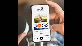 S5E11-Dogs on Deployment