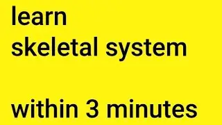 Skeletal System Mnemonics | Easy Tricks Anatomy & Physiology | Paramedical Exam MCQ Prep&rdquo;