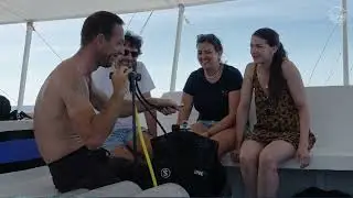 french touch diving