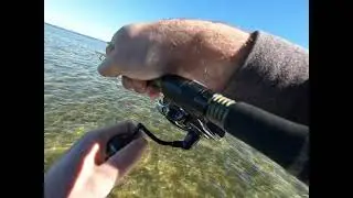 Redfish and Coffee in mosquito lagoon