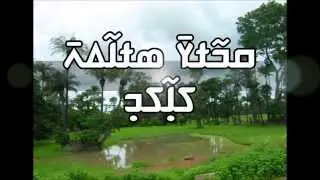 Sory Drame - djandjon