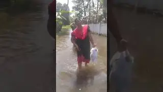 വെള്ളപ്പൊക്കത്തിലെ.. യാത്ര.... #tagnet#fishing#travel#shorts#malayalam#song#video#viral#kerala