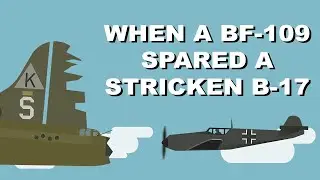 When a Bf-109 Pilot Showed Mercy to a Dying B-17 - A Forgotten WWII Story of Humanity