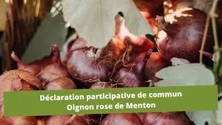 Inauguration de la Fête de l’Oignon rose de Menton