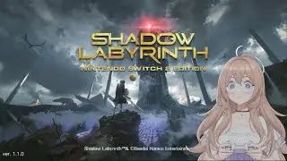 Starting at the Black Tower in Shadow Labyrinth