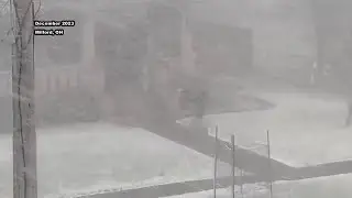 What is a snow squall