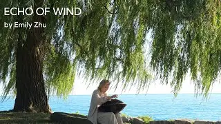 Echo of Wind丨Handpan E amara 20丨Emily Zhu