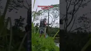 madaming isda sa lugar nato jackpot ako rito tara mga idol manghuli tayo ng pang ulam