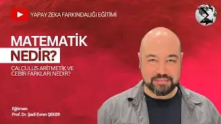 Matematik Nedir? Calculus Aritmetik ve Cebir Farkları Nedir?