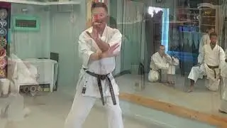 Karate Blocks said to Rip Flesh