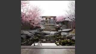 Koto Starry Reverie
