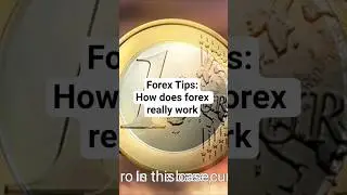 How does forex really work? #forexforbeginners #howtotradeforex