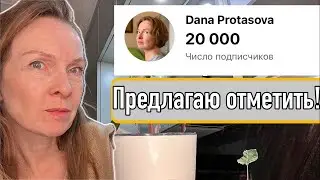 20000 подписчиков за ДВА года! 🔥