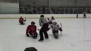 Sled Wings vs Griffins fundraiser 02/18/14 (short clip)