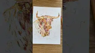 Bull Art Drawing! #bullart #bulldrawing #bullpainting #animalartistsofinstagram #animalartistry #art
